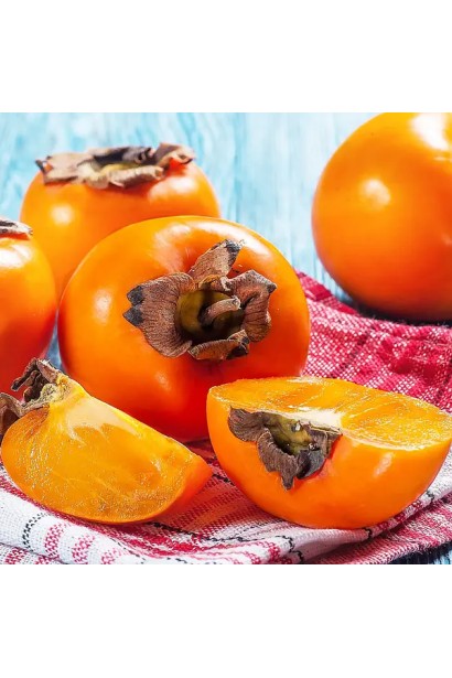 Хурма Голден Квин самоплодная